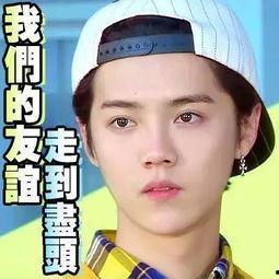 娱乐圈吃瓜故事真的假的,真假难辨的娱乐江湖揭秘